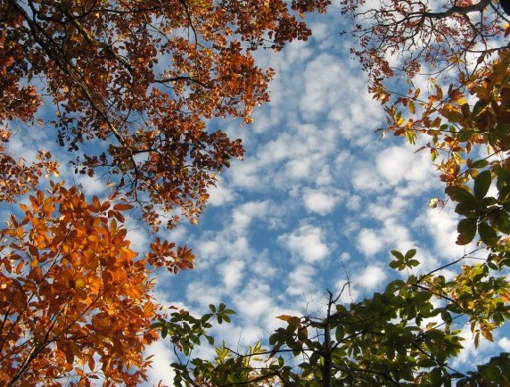 Autunno